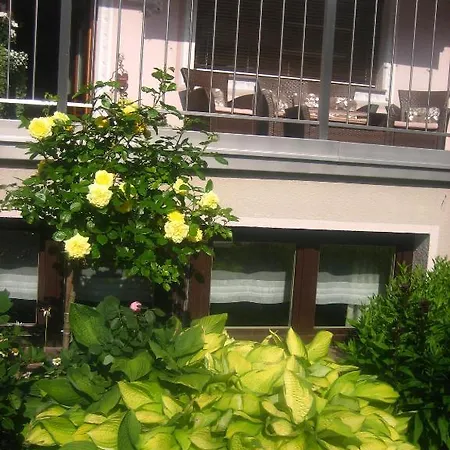 호텔 Gaestehaus Martha