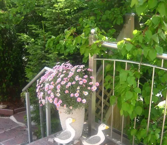 מלון Gaestehaus Martha